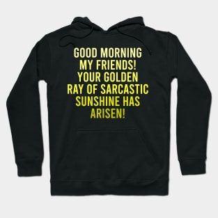 Good Morning My Friends. Your Golden Ray of Sarcastic Sunshine Has Arisen! Hoodie